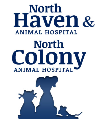 North Haven & North Colony Animal Hospitals